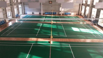 專注品質(zhì)，服務(wù)運動——北京達森運動木地板有限責任公司