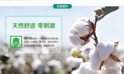 一朵棉花，一個國牌 醫(yī)用敷料OEM的國民品牌轉(zhuǎn)型與資本之路